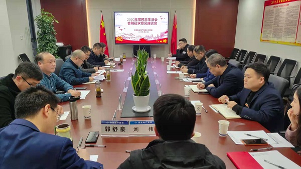 安徽ag亚娱集团地产集团公司党委召开2020年度民主生涯会前征求定见座谈会