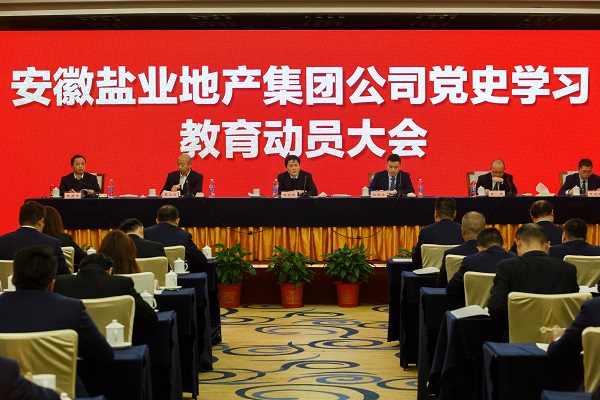 安徽ag亚娱集团地产集团公司召开党史进建教育带头大会