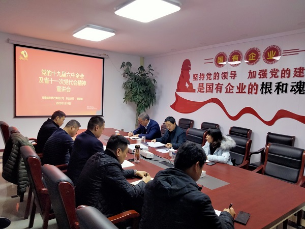 徽盐地产公司总管帐师杨蔚峰到泗县项目公司宣讲十九届六中全会及省十一次党代会心灵