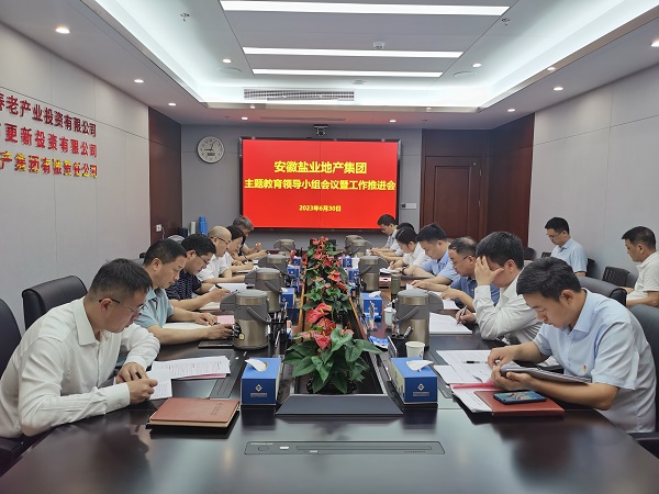 安徽ag亚娱集团地产集团召开学习贯彻习近平新时代中国特色社会主义头脑主题教育向导小组聚会暨事情推进会