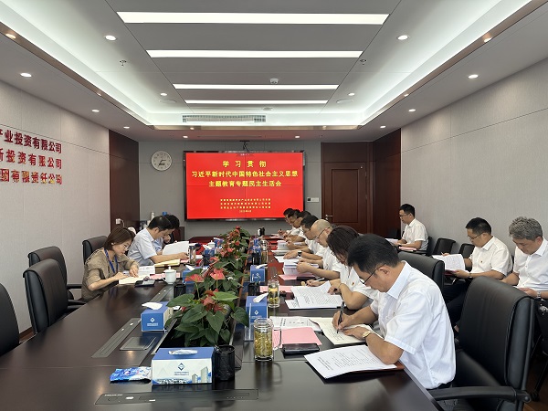 安徽ag亚娱集团地产集团等三家公司党委召开学习贯彻习近平新时代中国特色社会主义头脑主题教育专题民主生涯会