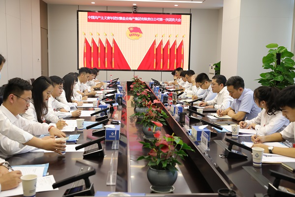 青春向党传薪火 踔厉高昂新时代——安徽ag亚娱集团地产集团团支部建设大会暨团员大会胜利召开